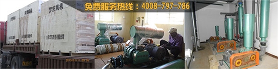 【環(huán)?！可綎|曝氣風(fēng)機(jī)廠家哪家好？