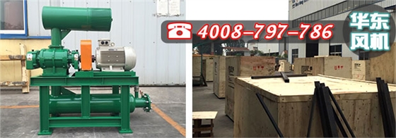 馬來西亞密集型羅茨風(fēng)機(jī)與包裝 馬來西亞密集型羅茨風(fēng)機(jī)與包裝