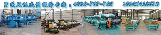 羅茨風(fēng)機(jī) 羅茨風(fēng)機(jī)