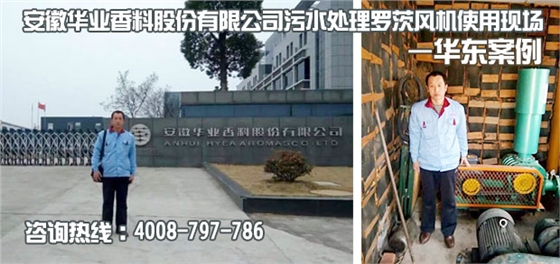 安徽華業(yè)香料污水處理用羅茨風(fēng)機(jī)使用現(xiàn)場(chǎng) 安徽華業(yè)香料污水處理用羅茨風(fēng)機(jī)使用現(xiàn)場(chǎng)