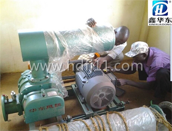 出口羅茨風(fēng)機(jī) 出口羅茨風(fēng)機(jī)