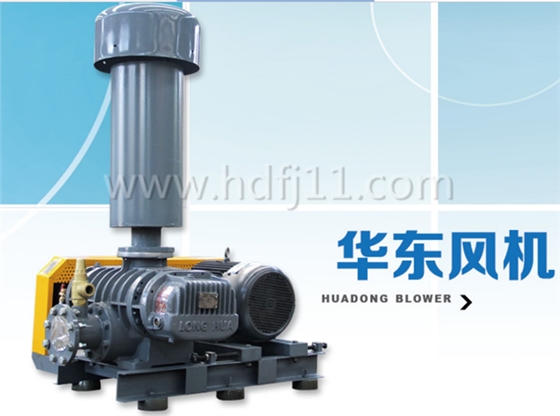 魯氏風(fēng)機 魯氏風(fēng)機