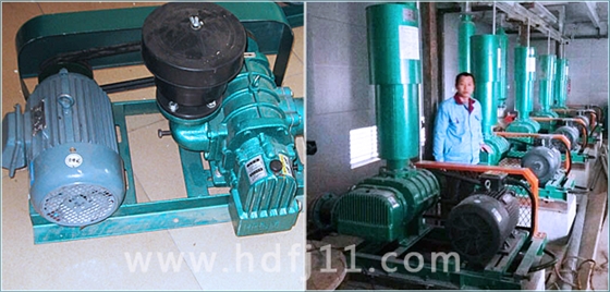 密集型羅茨風(fēng)機(jī)2.jpg 密集型羅茨風(fēng)機(jī)2.jpg