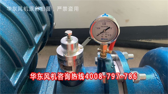 羅茨風(fēng)機(jī)壓力表泄壓閥 羅茨風(fēng)機(jī)壓力表泄壓閥