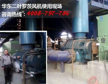 二葉羅茨風(fēng)機(jī)現(xiàn)場圖片 二葉羅茨風(fēng)機(jī)現(xiàn)場圖片