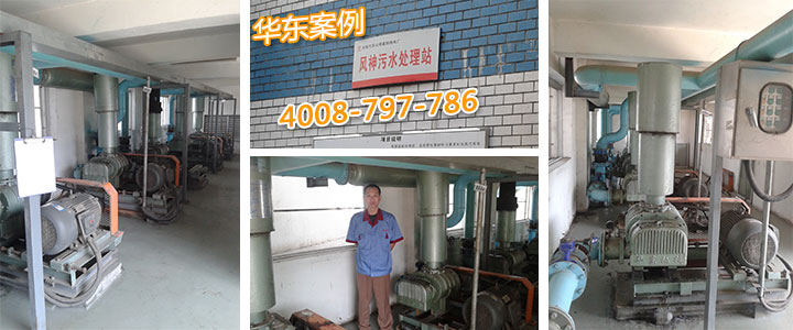 污水處理羅茨鼓風(fēng)機 污水處理羅茨鼓風(fēng)機