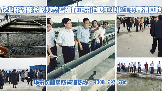 華東羅茨式增氧機(jī) 華東羅茨式增氧機(jī)