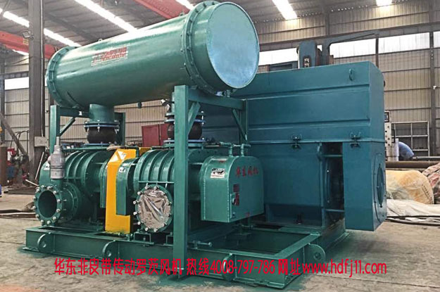 直連傳動羅茨風(fēng)機