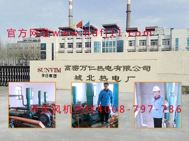 電力行業(yè)用羅茨風機 電力行業(yè)用羅茨風機