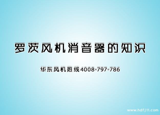 羅茨鼓風(fēng)機消音器.jpg