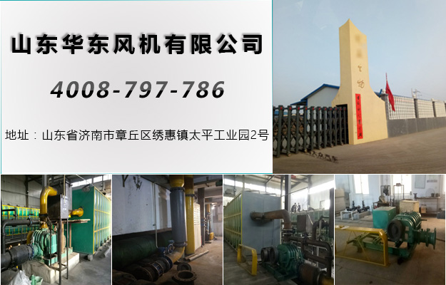 羅茨風(fēng)機(jī) 羅茨風(fēng)機(jī)