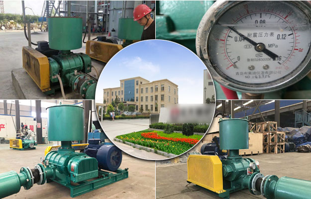 羅茨風機 羅茨風機