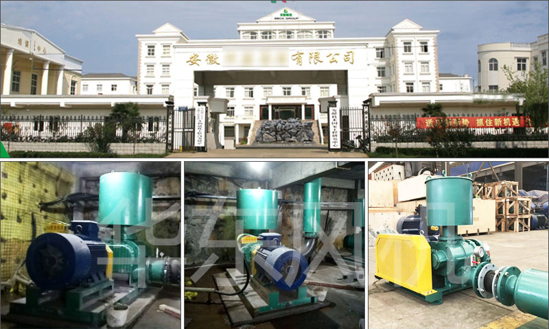 羅茨風(fēng)機 羅茨風(fēng)機