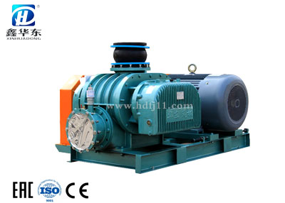 HDSR-100V羅茨真空泵 HDSR-100V羅茨真空泵